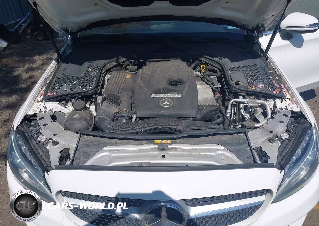 2017 Mercedes-Benz C 300 4Matic VIN:WDDWJ4KB5HF405802 - 10