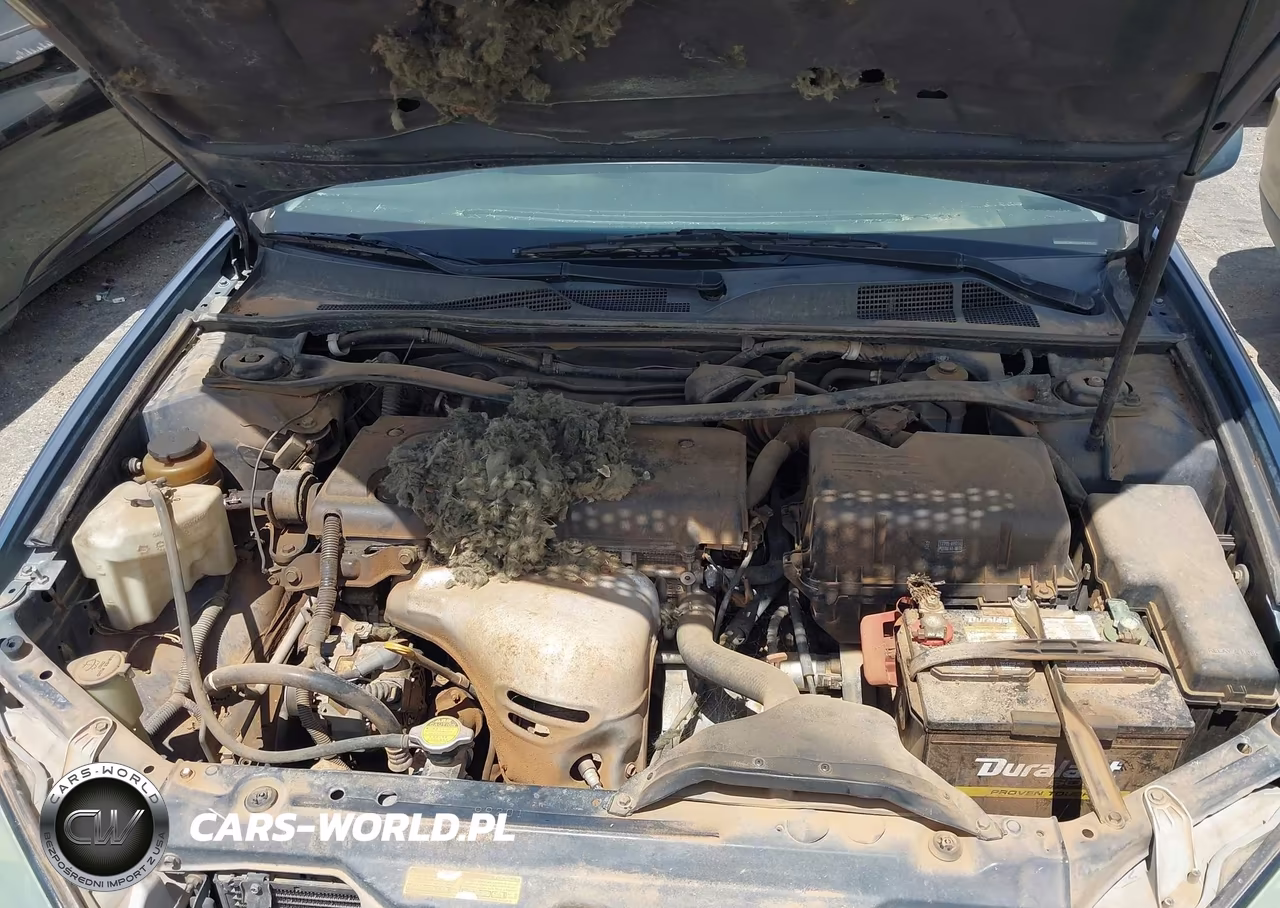 2004 Toyota Camry Se VIN:4T1BE32K24U789191 - 10