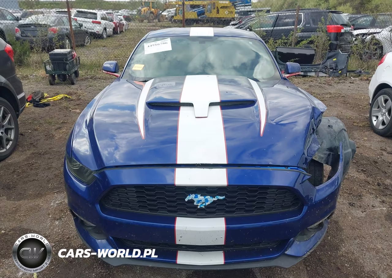 2016 Ford Mustang Ecoboost VIN:1FA6P8TH4G5332726 - 12