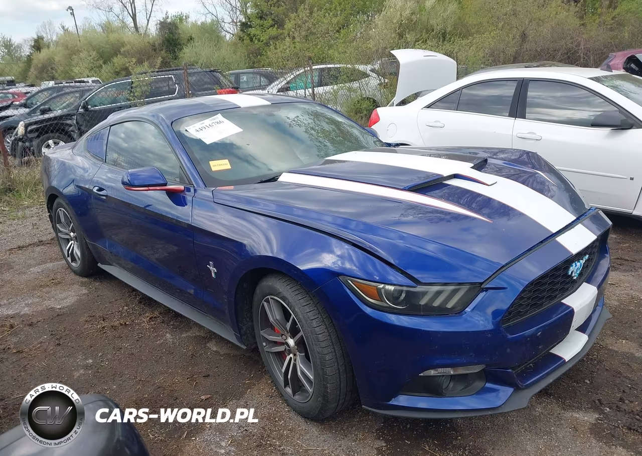 2016 Ford Mustang Ecoboost VIN:1FA6P8TH4G5332726 - 13
