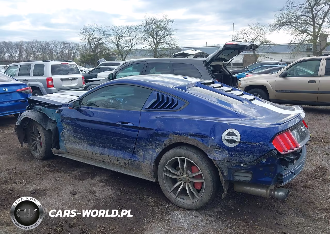 2016 Ford Mustang Ecoboost VIN:1FA6P8TH4G5332726 - 14