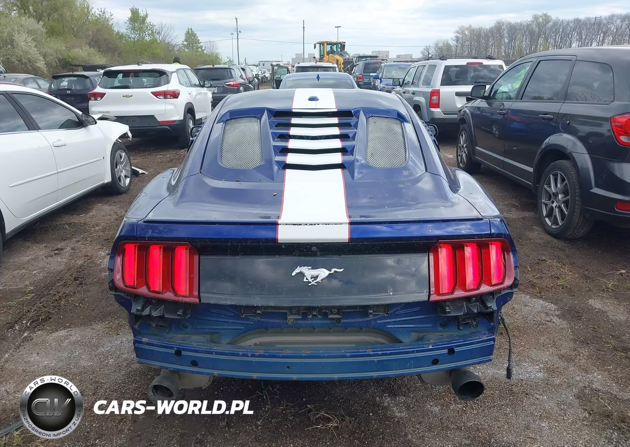 2016 Ford Mustang Ecoboost VIN:1FA6P8TH4G5332726 - 16