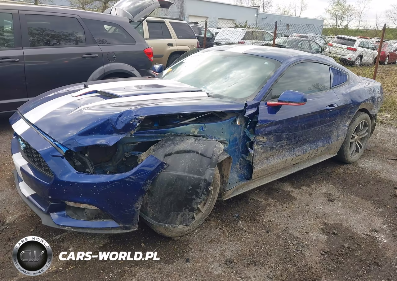 2016 Ford Mustang Ecoboost VIN:1FA6P8TH4G5332726 - 6