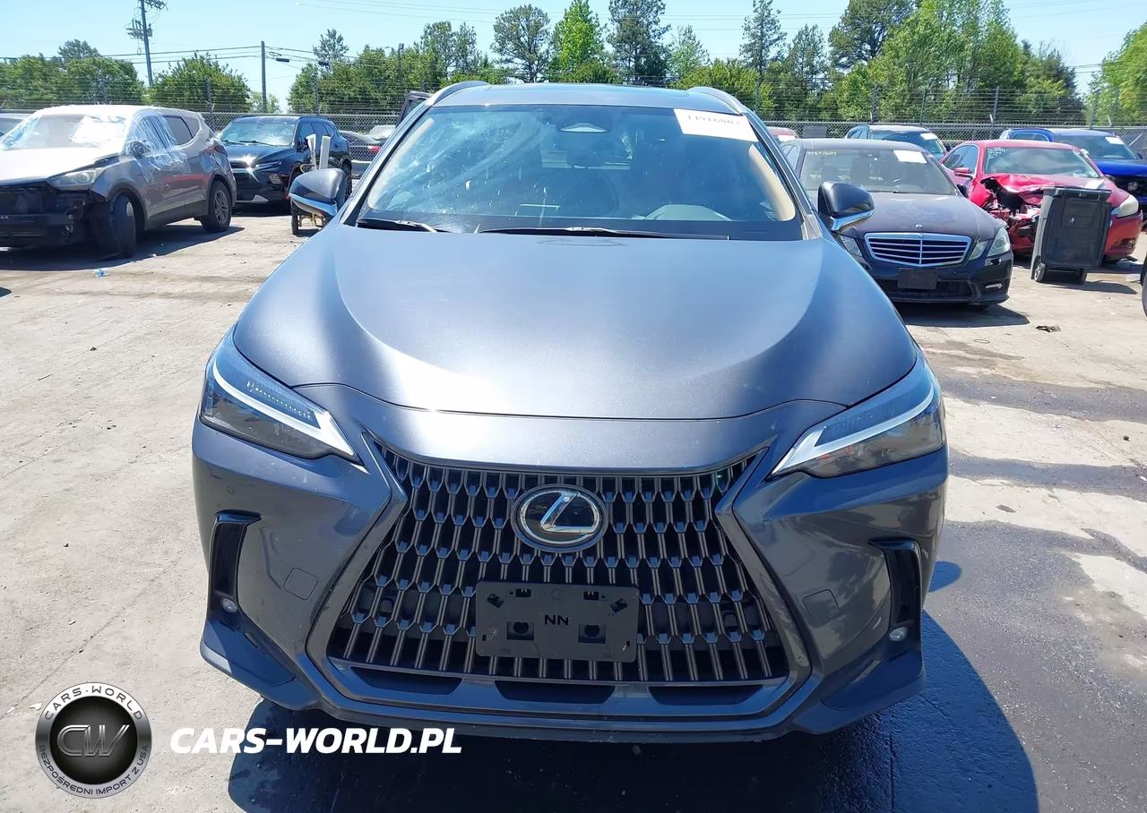 2022 Lexus Nx 350 Premium VIN:JTJGGCEZ4N5000593 - 12