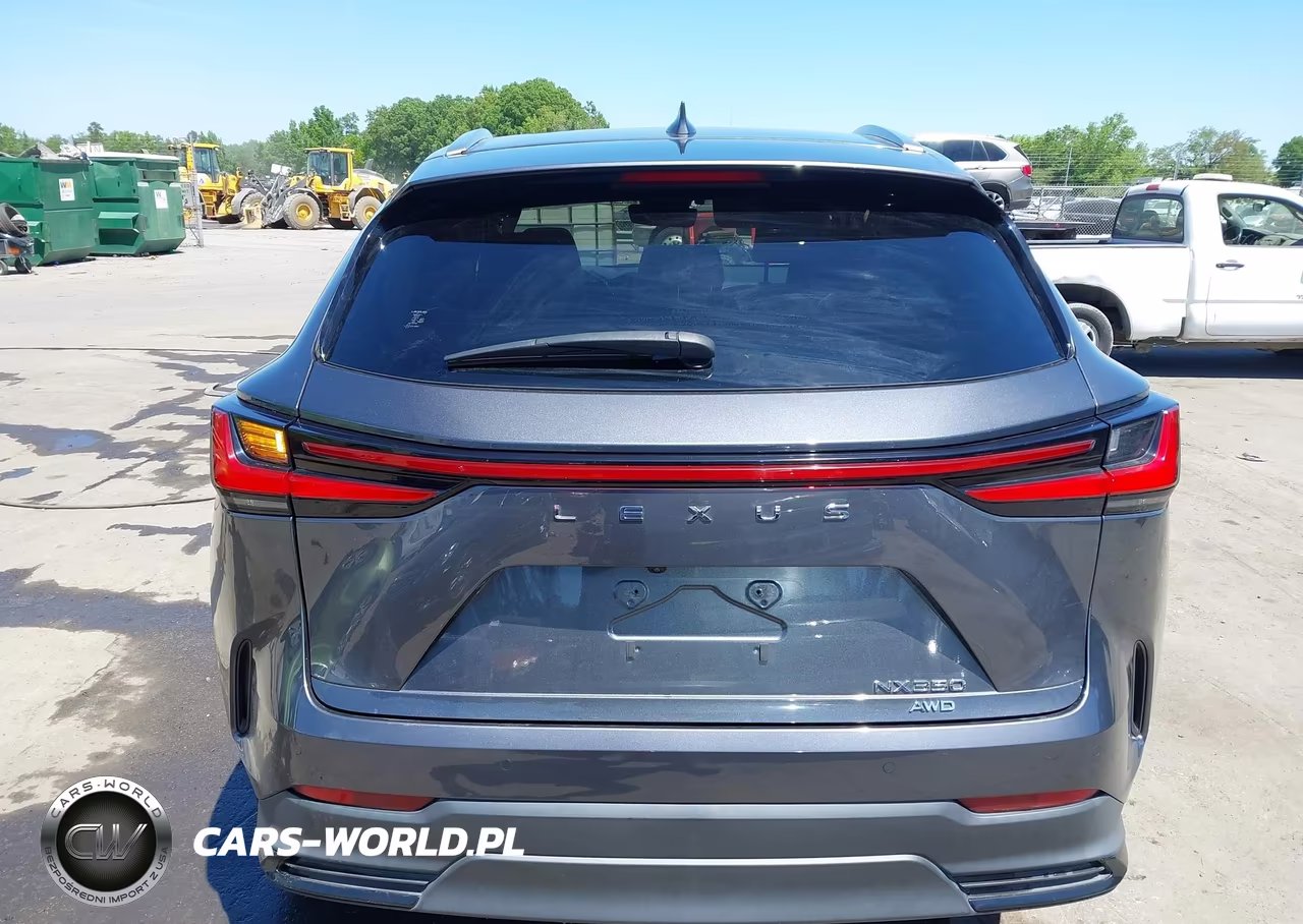2022 Lexus Nx 350 Premium VIN:JTJGGCEZ4N5000593 - 16