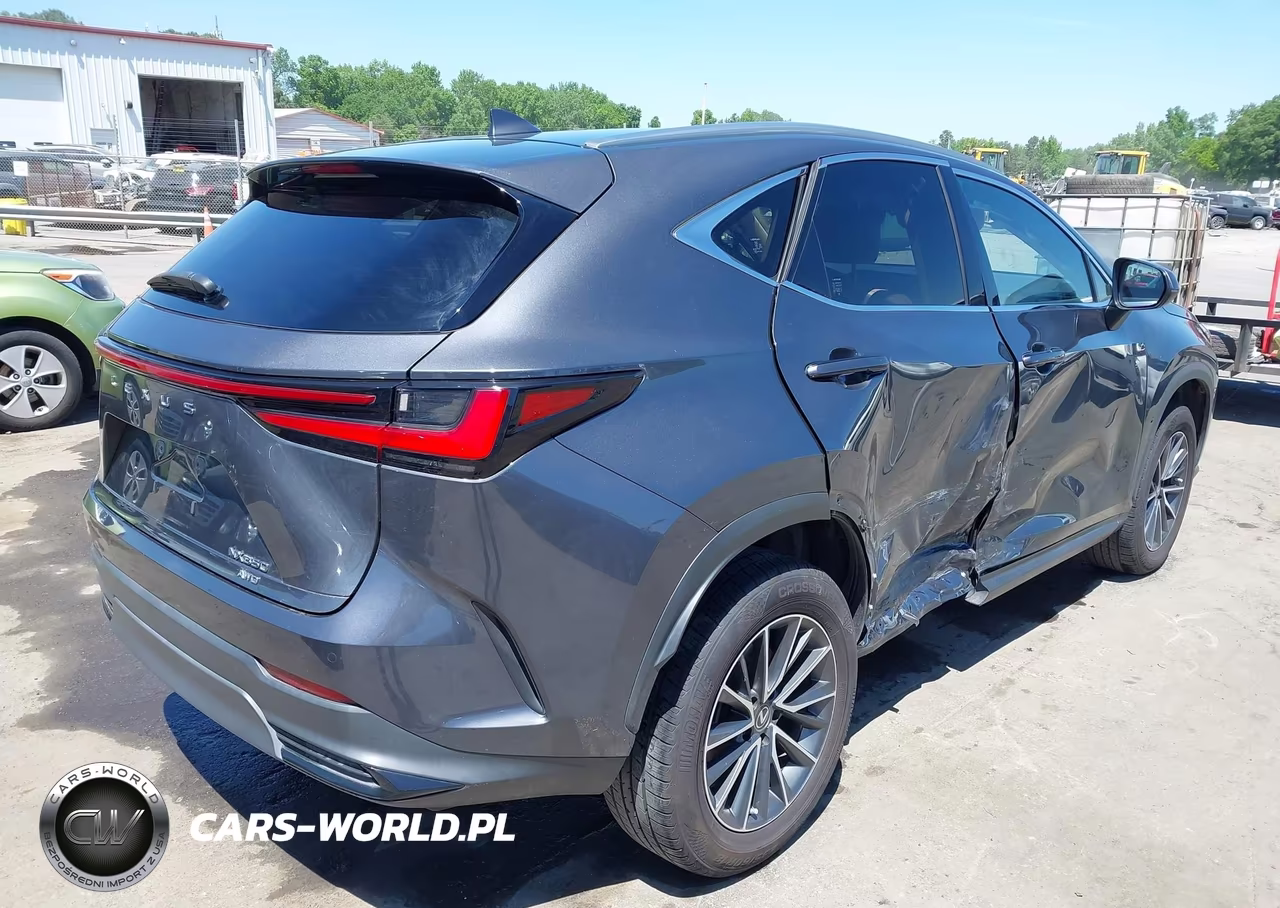 2022 Lexus Nx 350 Premium VIN:JTJGGCEZ4N5000593 - 4