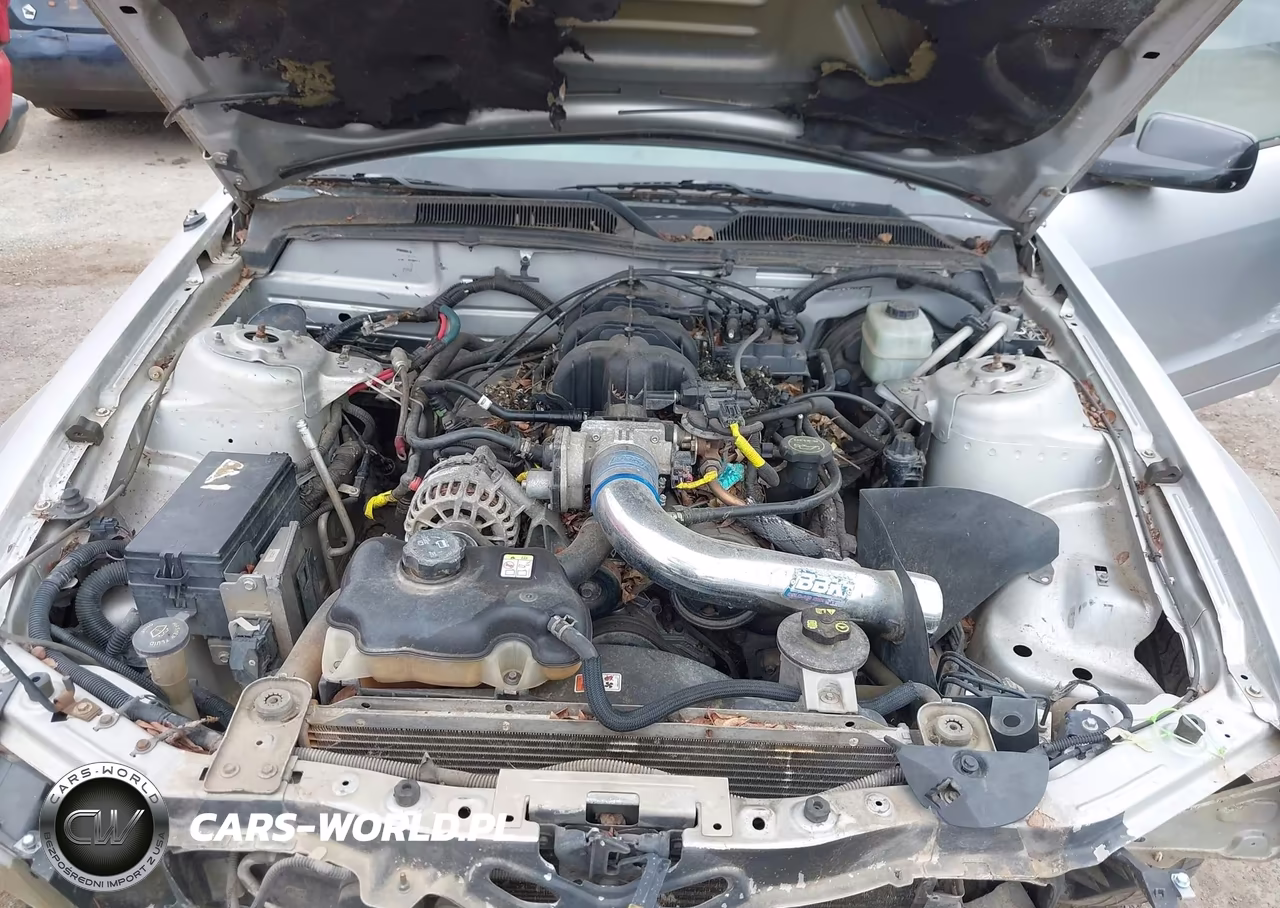 2006 Ford Mustang V6 VIN:1ZVFT80N765145024 - 10