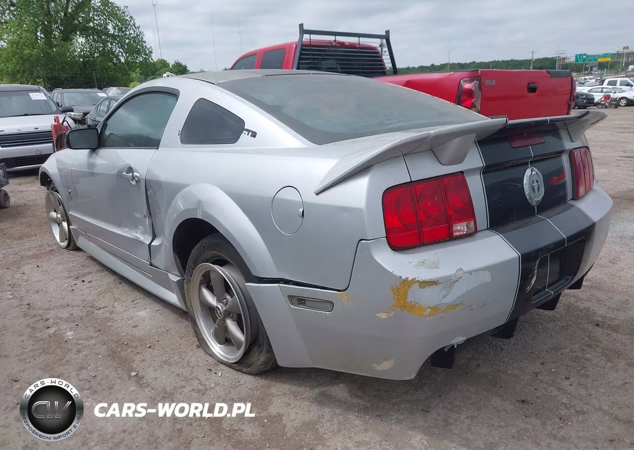 2006 Ford Mustang V6 VIN:1ZVFT80N765145024 - 3