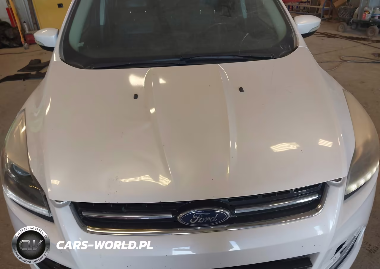 2014 Ford Escape Titanium VIN:1FMCU9J93EUE24545 - 10