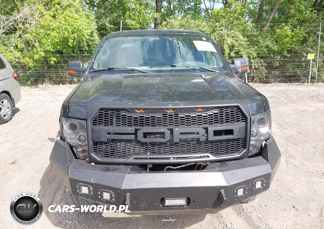 2010 Ford F-150 Fx4-Lariat-Xl-Xlt VIN:1FTFX1EV3AFC61296 - 12