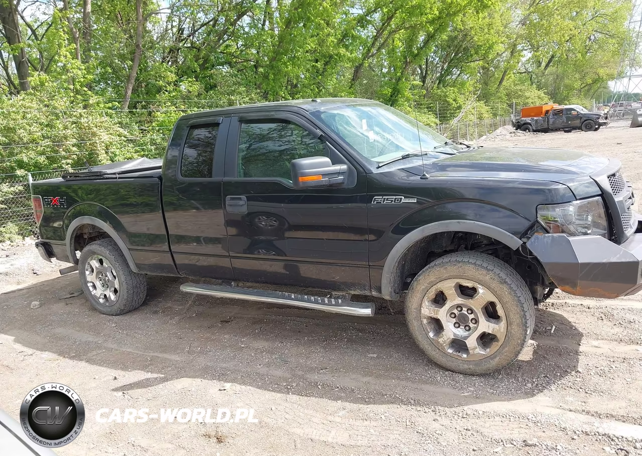 2010 Ford F-150 Fx4-Lariat-Xl-Xlt VIN:1FTFX1EV3AFC61296 - 13
