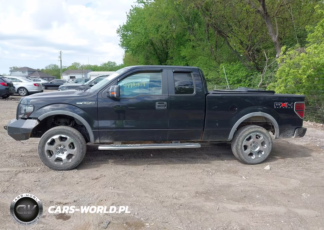 2010 Ford F-150 Fx4-Lariat-Xl-Xlt VIN:1FTFX1EV3AFC61296 - 14