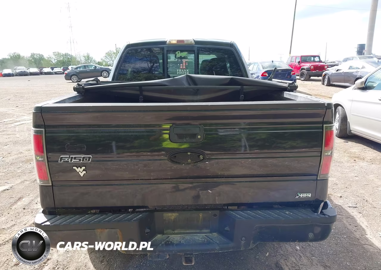 2010 Ford F-150 Fx4-Lariat-Xl-Xlt VIN:1FTFX1EV3AFC61296 - 16