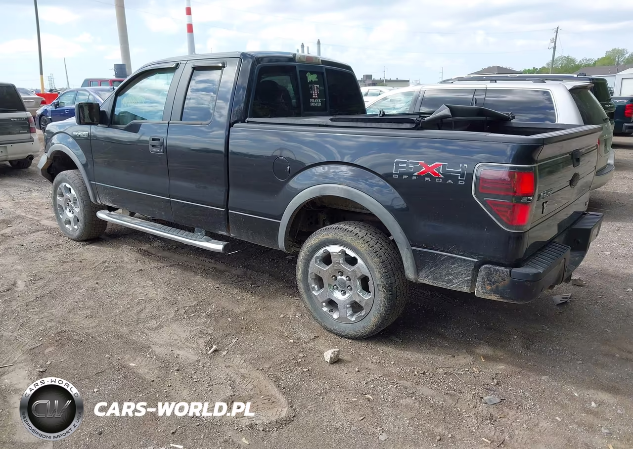 2010 Ford F-150 Fx4-Lariat-Xl-Xlt VIN:1FTFX1EV3AFC61296 - 3