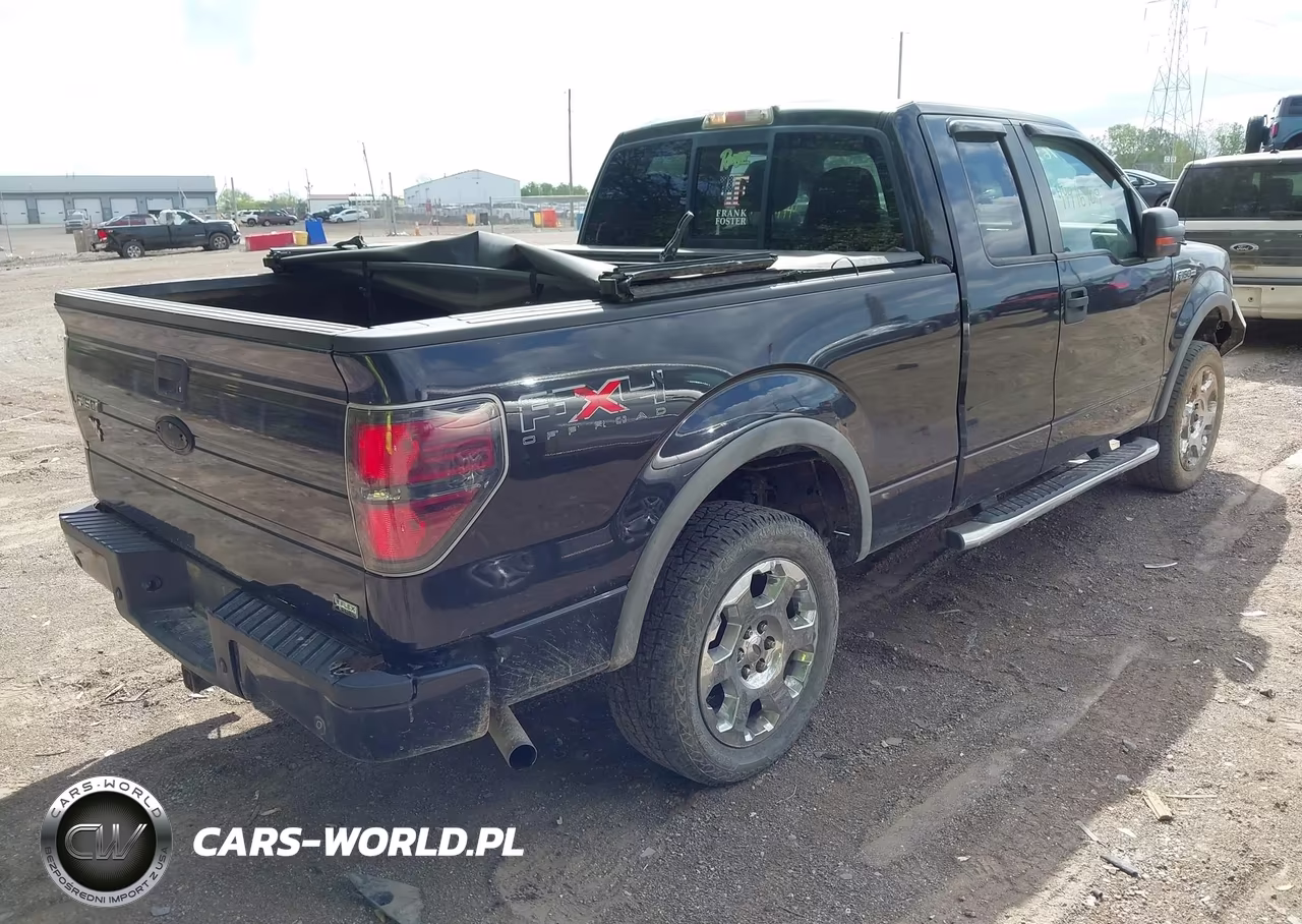 2010 Ford F-150 Fx4-Lariat-Xl-Xlt VIN:1FTFX1EV3AFC61296 - 4