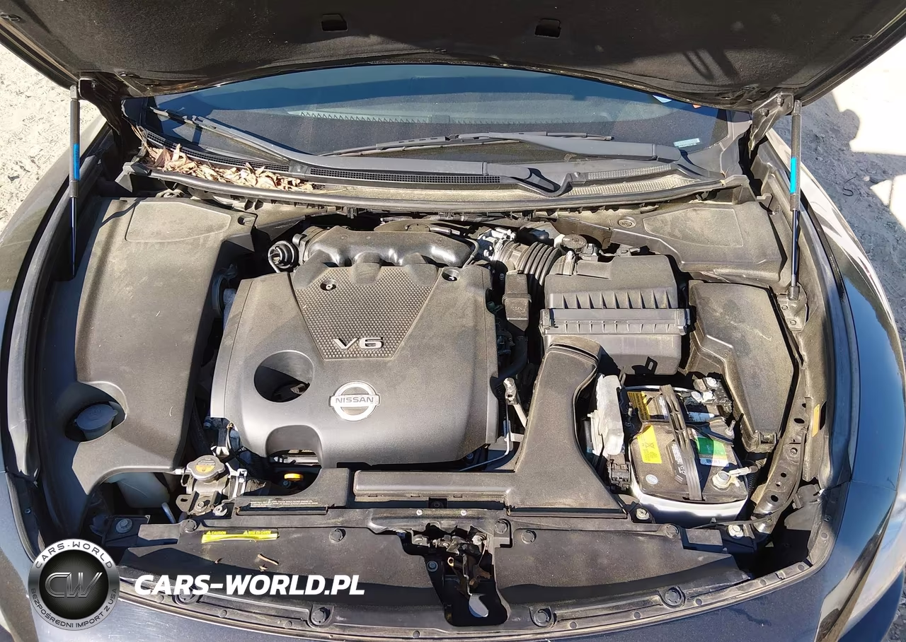 2014 Nissan Maxima 3.5 Sv VIN:1N4AA5AP5EC441385 - 10