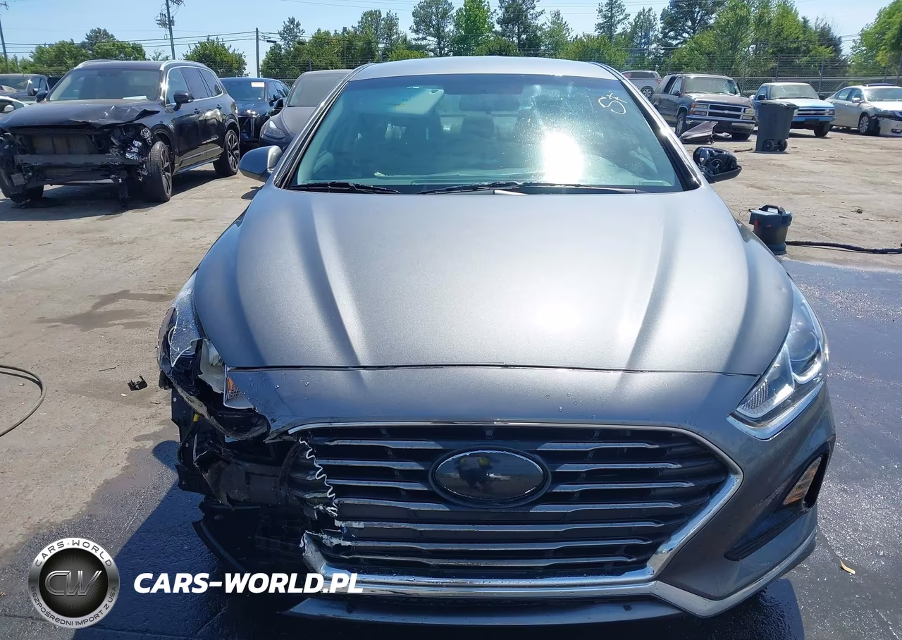 2019 Hyundai Sonata Se VIN:5NPE24AF9KH807536 - 12