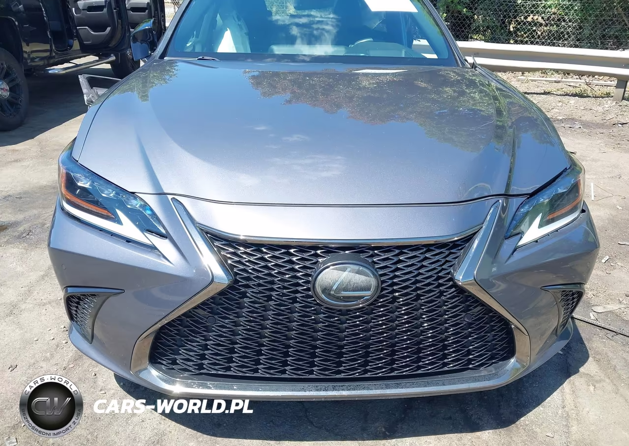 2019 Lexus Es 350 F Sport VIN:58ABZ1B13KU005364 - 13