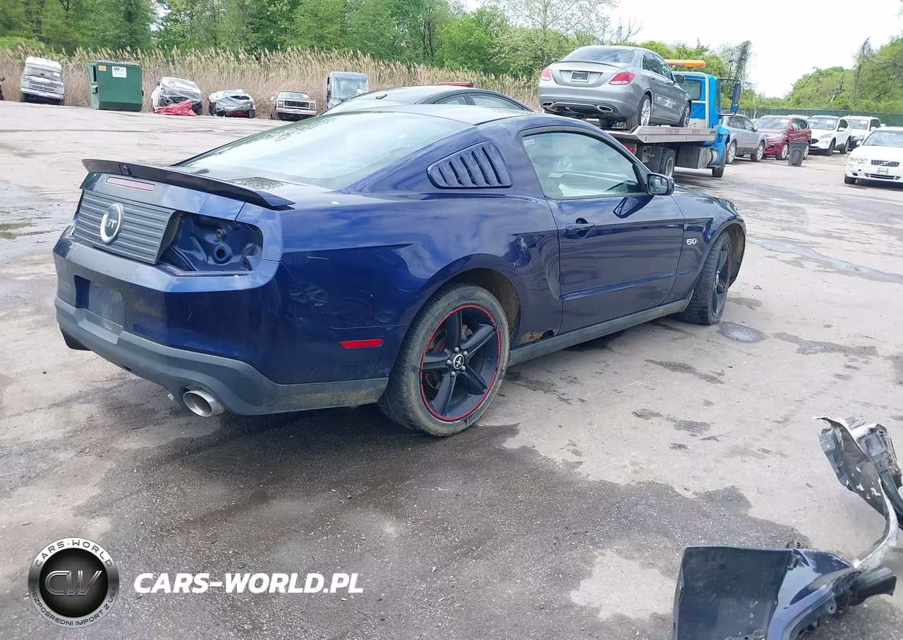 2012 Ford Mustang Gt Premium VIN:1ZVBP8CF3C5205979 - 4
