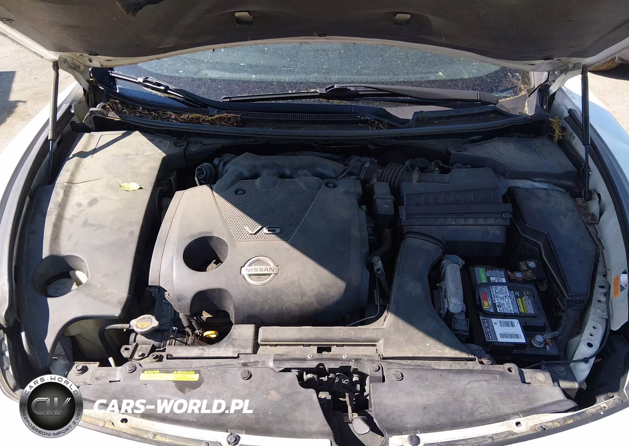 2009 Nissan Maxima 3.5 Sv VIN:1N4AA51E49C852197 - 10