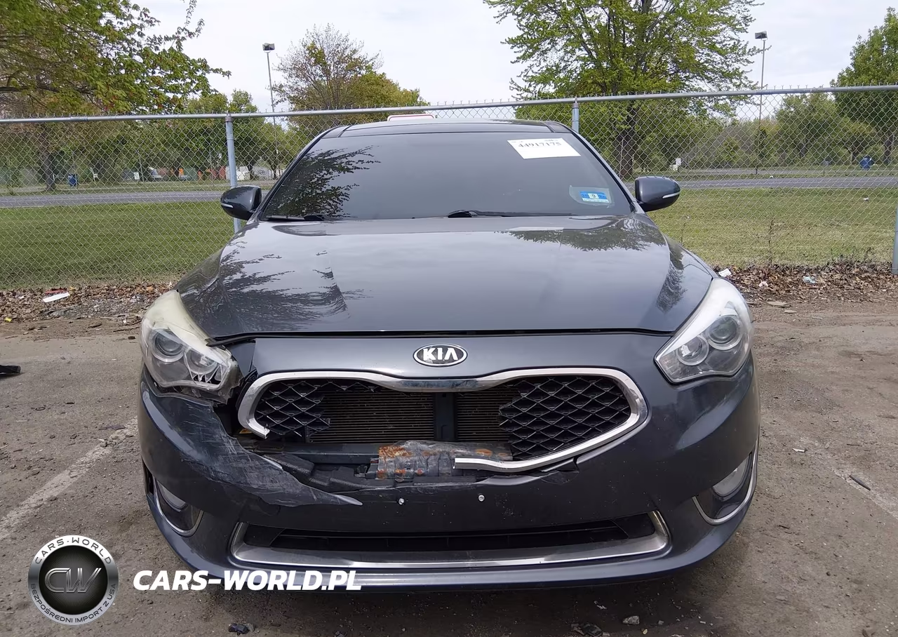 2015 Kia Cadenza Premium VIN:KNALN4D78F5177899 - 6