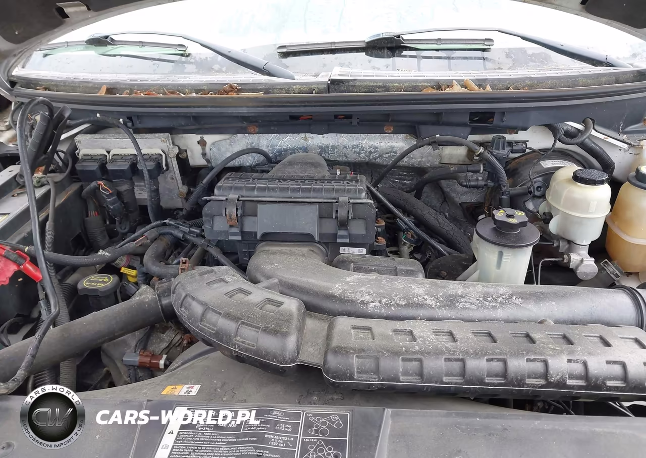 2008 Ford F-150 Fx4-Lariat-Xl-Xlt VIN:1FTPX14V68FA01099 - 10