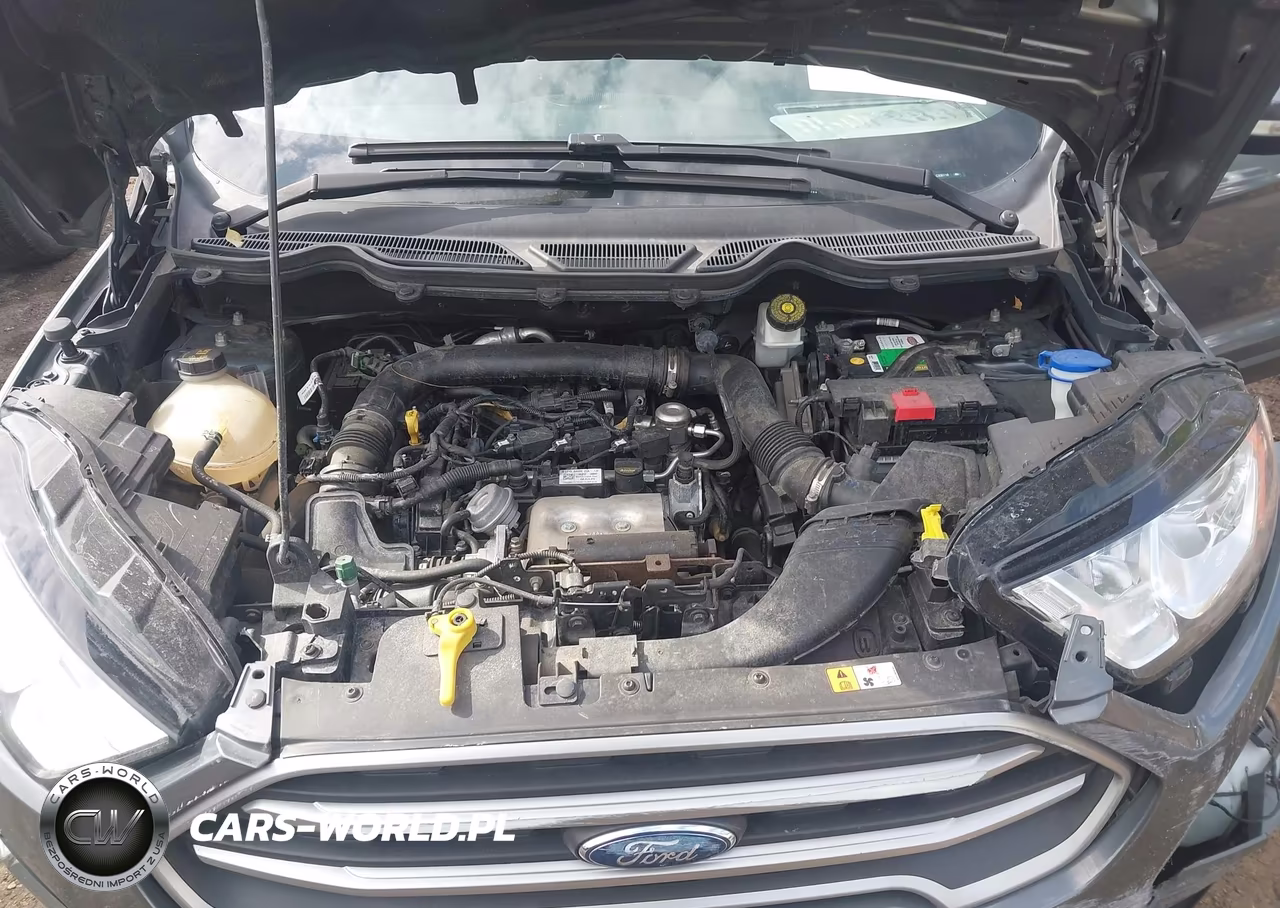 2020 Ford Ecosport Se VIN:MAJ3S2GE9LC330118 - 10