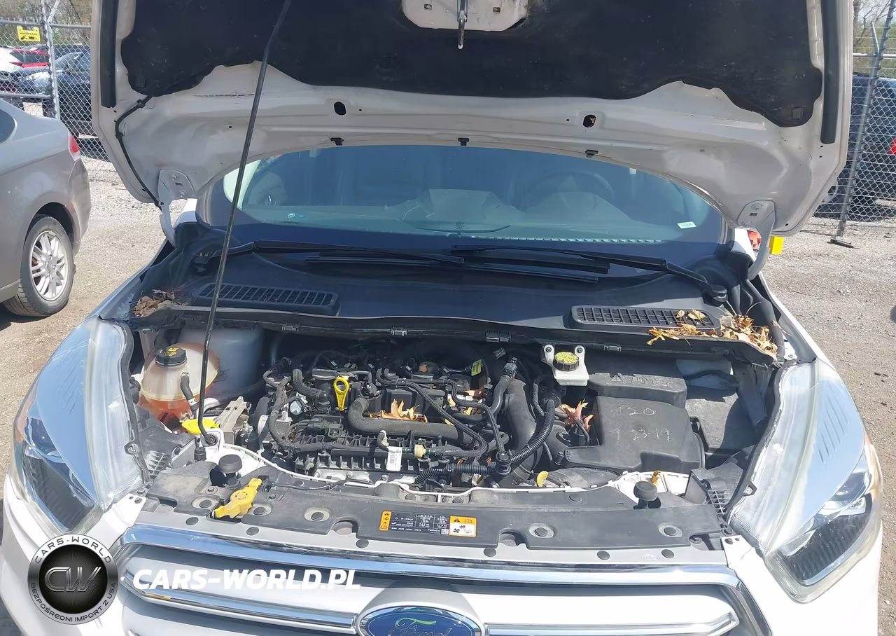 2019 Ford Escape Sel VIN:1FMCU9HD3KUC47937 - 10