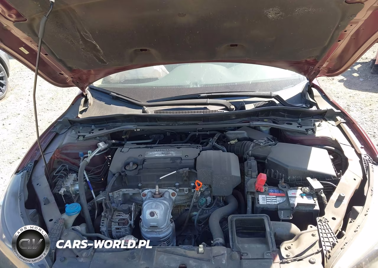2013 Honda Accord Ex-L VIN:1HGCR2F86DA143502 - 10