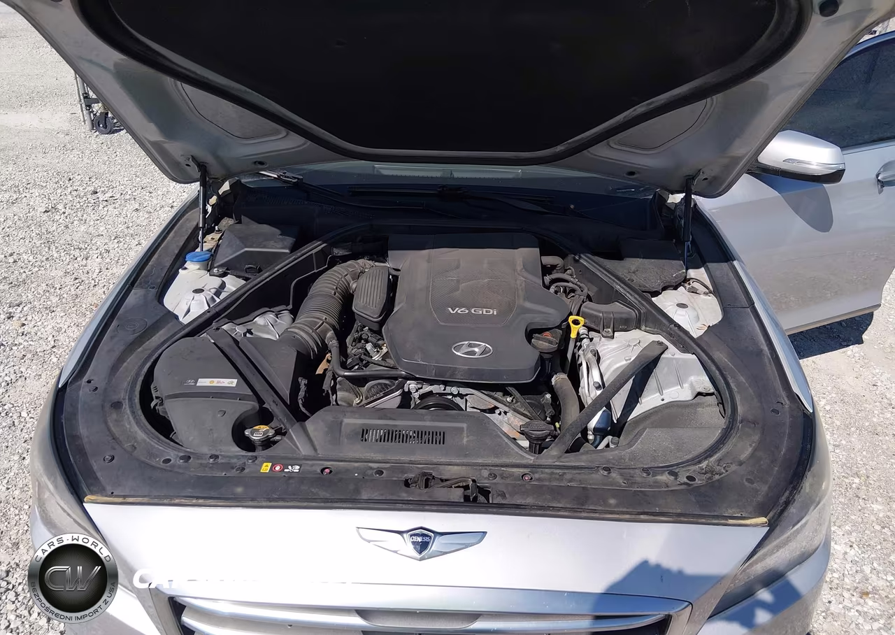 2015 Hyundai Genesis 3.8 VIN:KMHGN4JE9FU094278 - 10