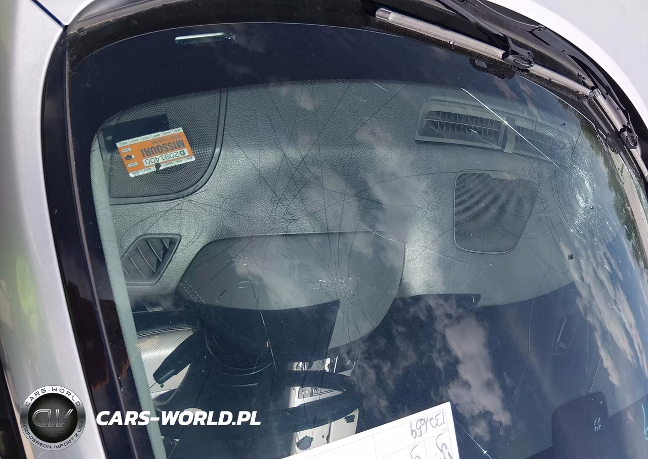 2015 Hyundai Genesis 3.8 VIN:KMHGN4JE9FU094278 - 17