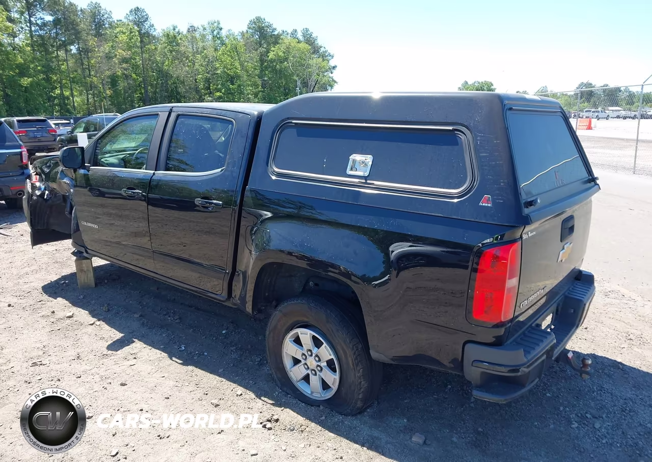 2019 Chevrolet Colorado Wt VIN:1GCGSBEN4K1302770 - 3