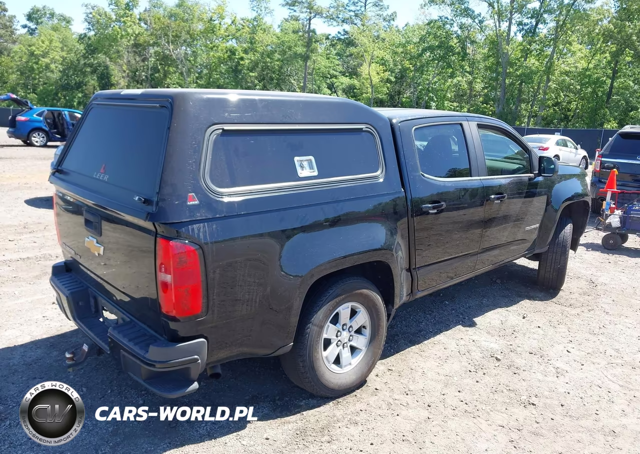 2019 Chevrolet Colorado Wt VIN:1GCGSBEN4K1302770 - 4