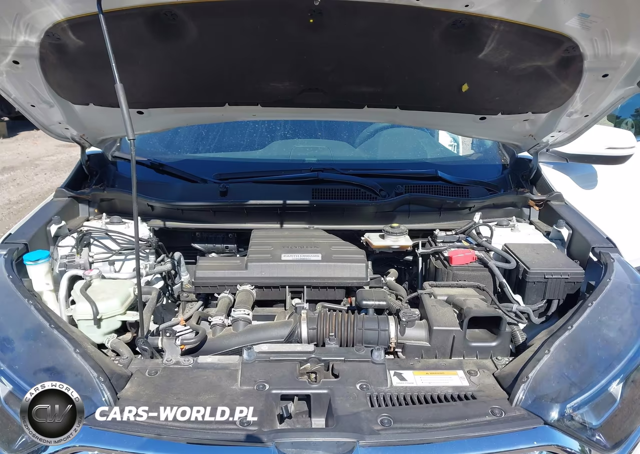 2019 Honda Cr-V Ex VIN:JHLRW2H56KX003841 - 10