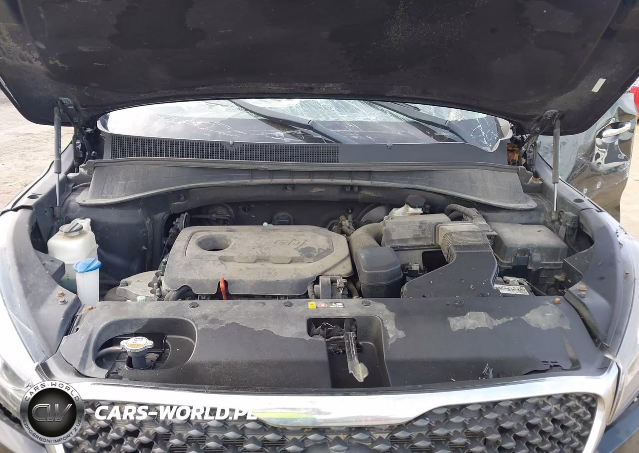 2017 Kia Sorento 2.4L Lx VIN:5XYPG4A39HG331546 - 10