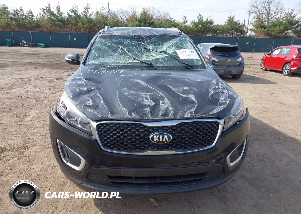 2017 Kia Sorento 2.4L Lx VIN:5XYPG4A39HG331546 - 12