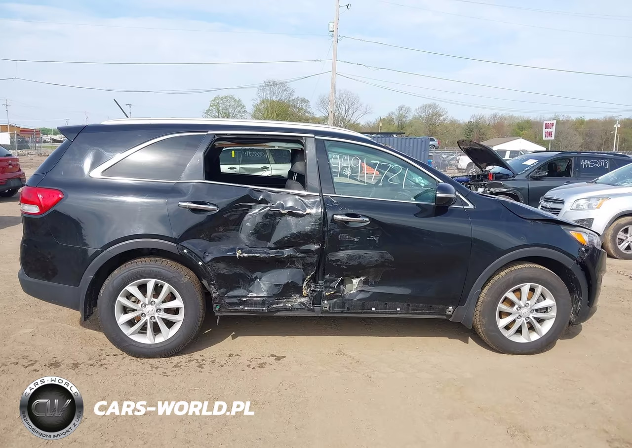 2017 Kia Sorento 2.4L Lx VIN:5XYPG4A39HG331546 - 13