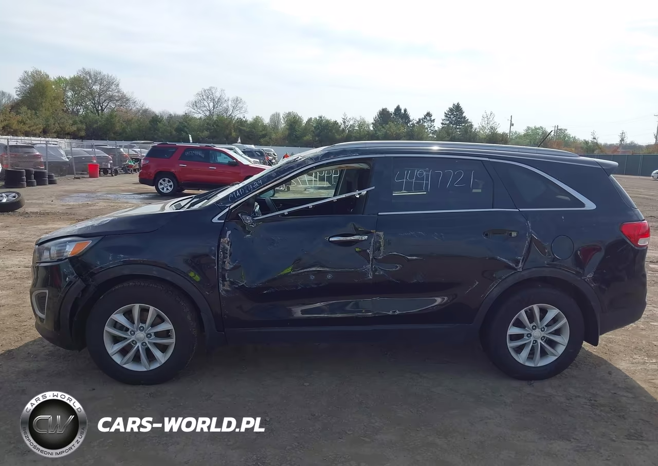 2017 Kia Sorento 2.4L Lx VIN:5XYPG4A39HG331546 - 14