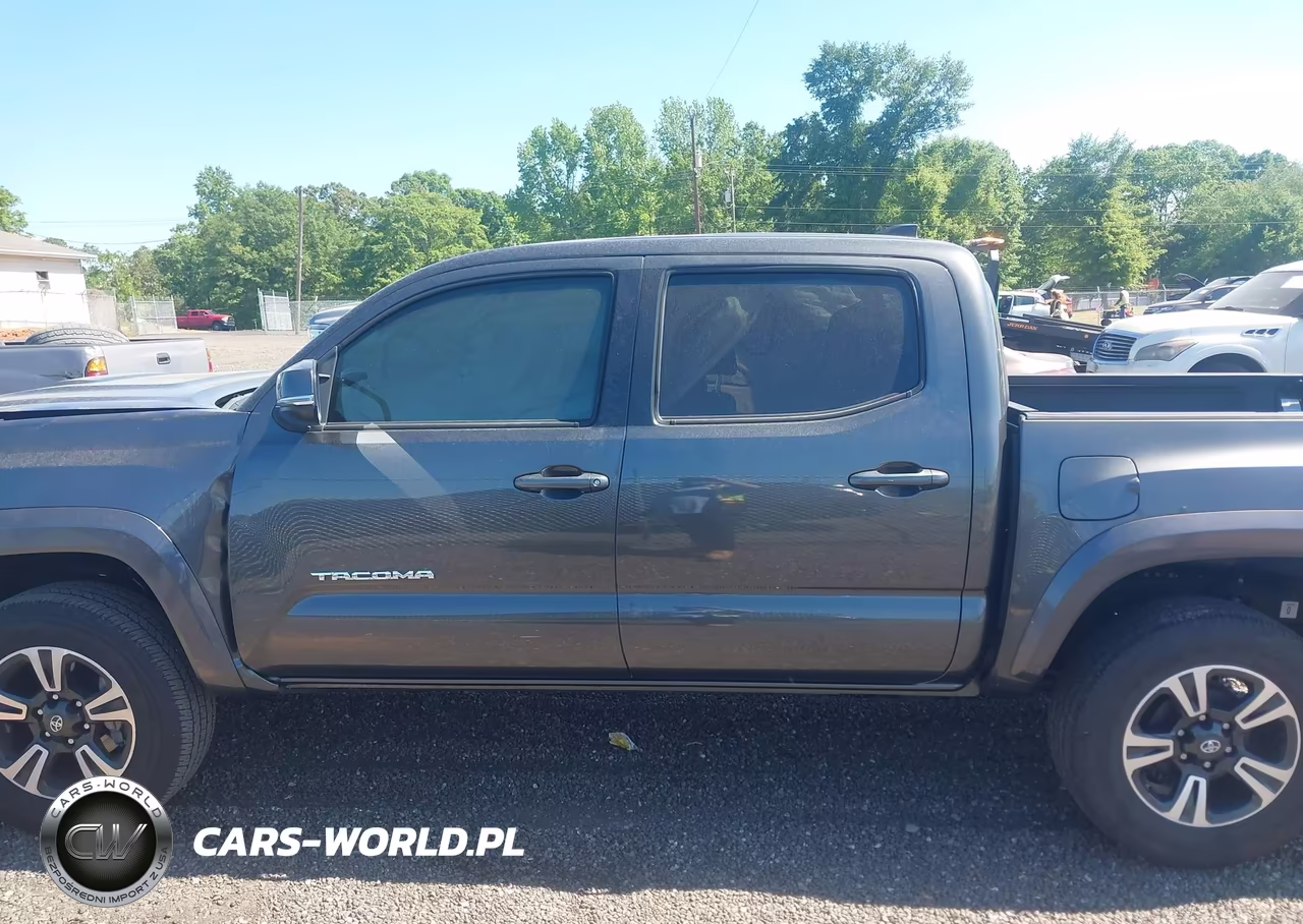 2019 Toyota Tacoma Trd Sport VIN:3TMAZ5CN9KM099786 - 14