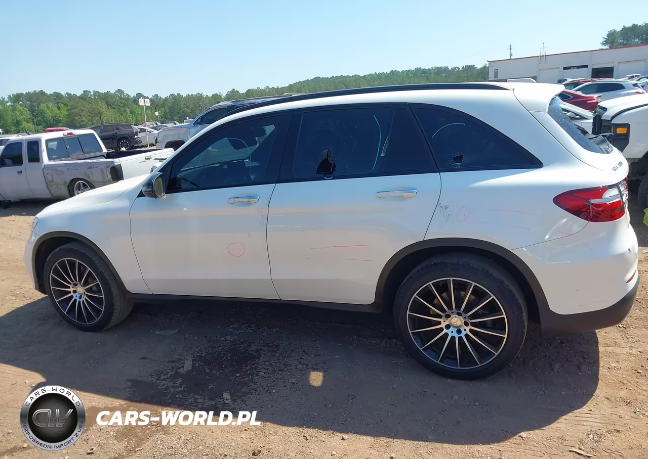 2017 Mercedes-Benz Glc 300 VIN:WDC0G4JB1HF134392 - 14