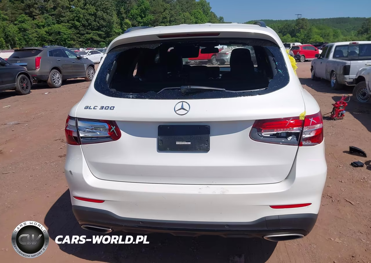 2017 Mercedes-Benz Glc 300 VIN:WDC0G4JB1HF134392 - 16