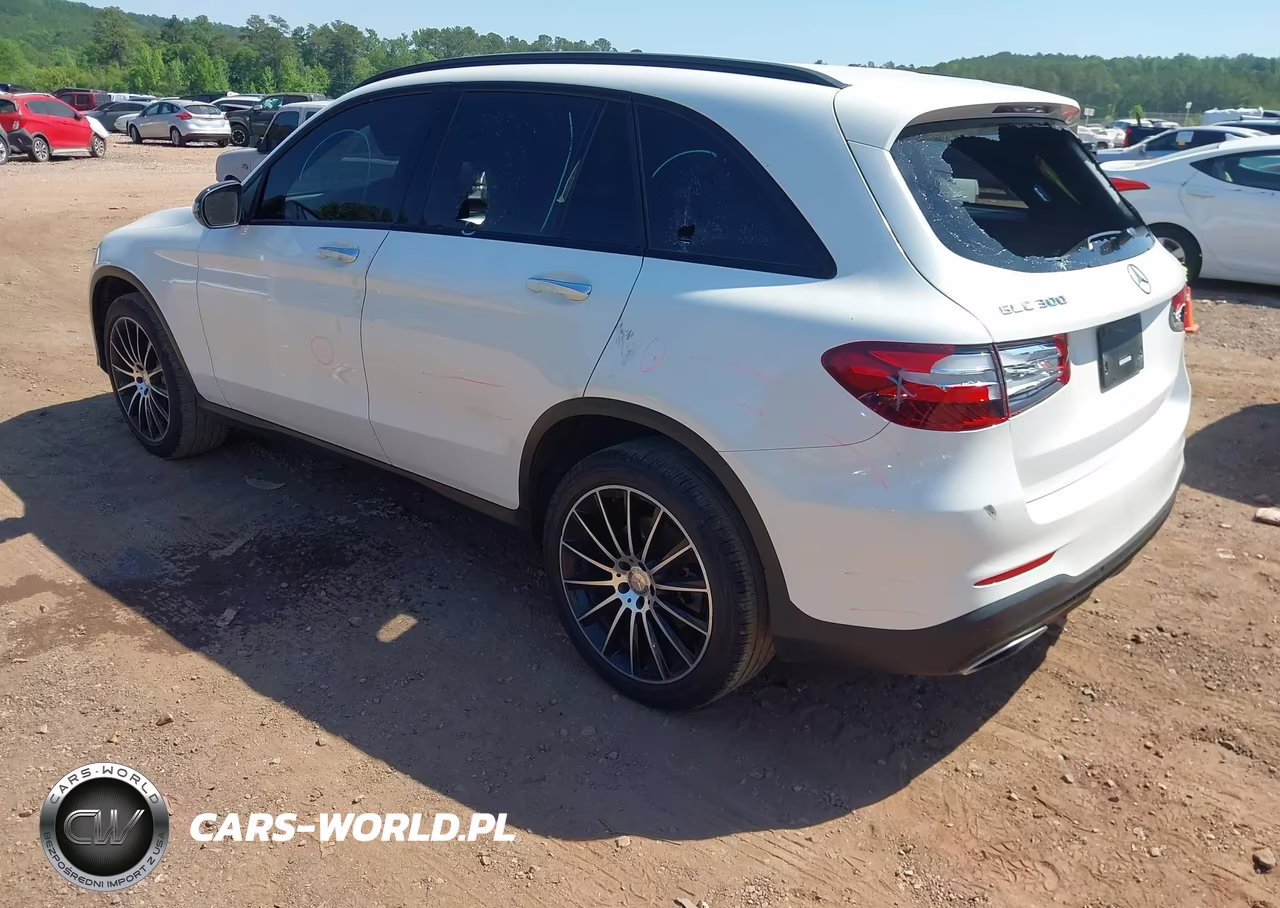 2017 Mercedes-Benz Glc 300 VIN:WDC0G4JB1HF134392 - 3