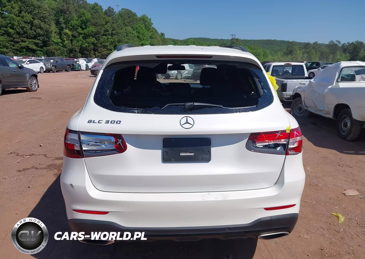 2017 Mercedes-Benz Glc 300 VIN:WDC0G4JB1HF134392 - 6