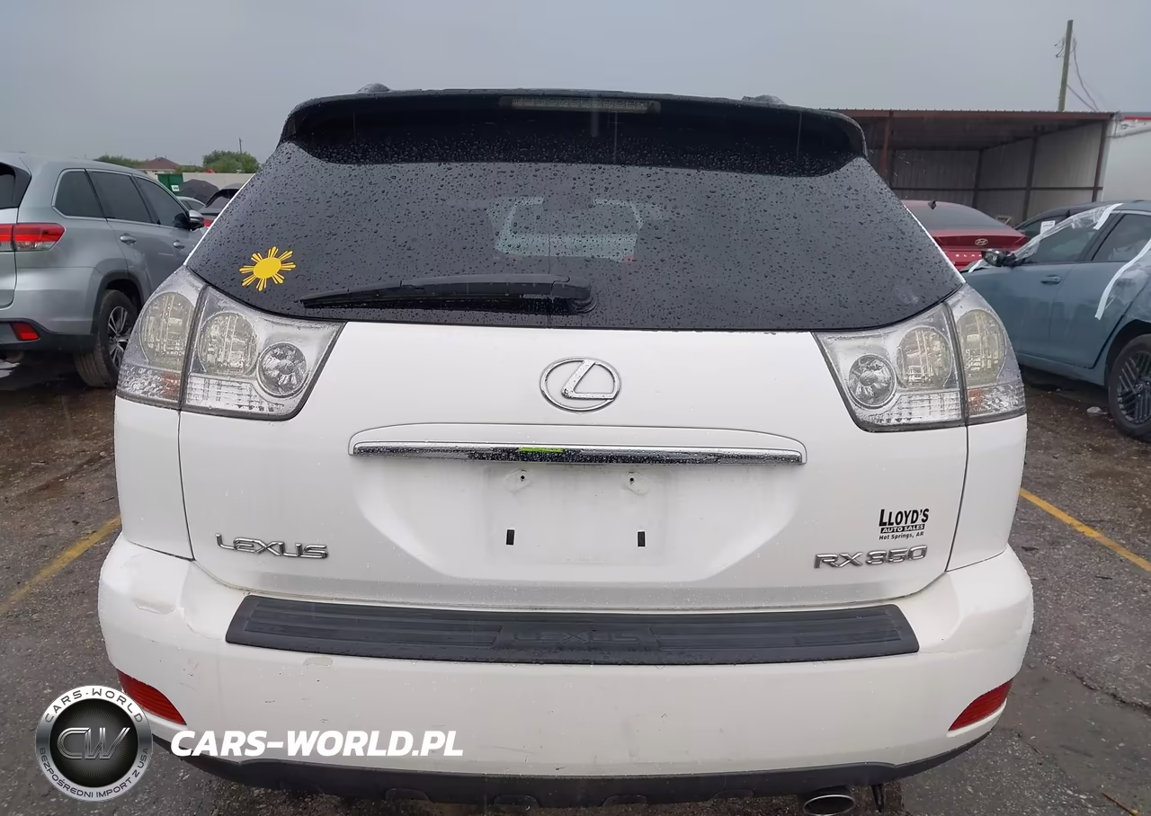 2009 Lexus Rx 350 VIN:2T2GK31U29C077981 - 16