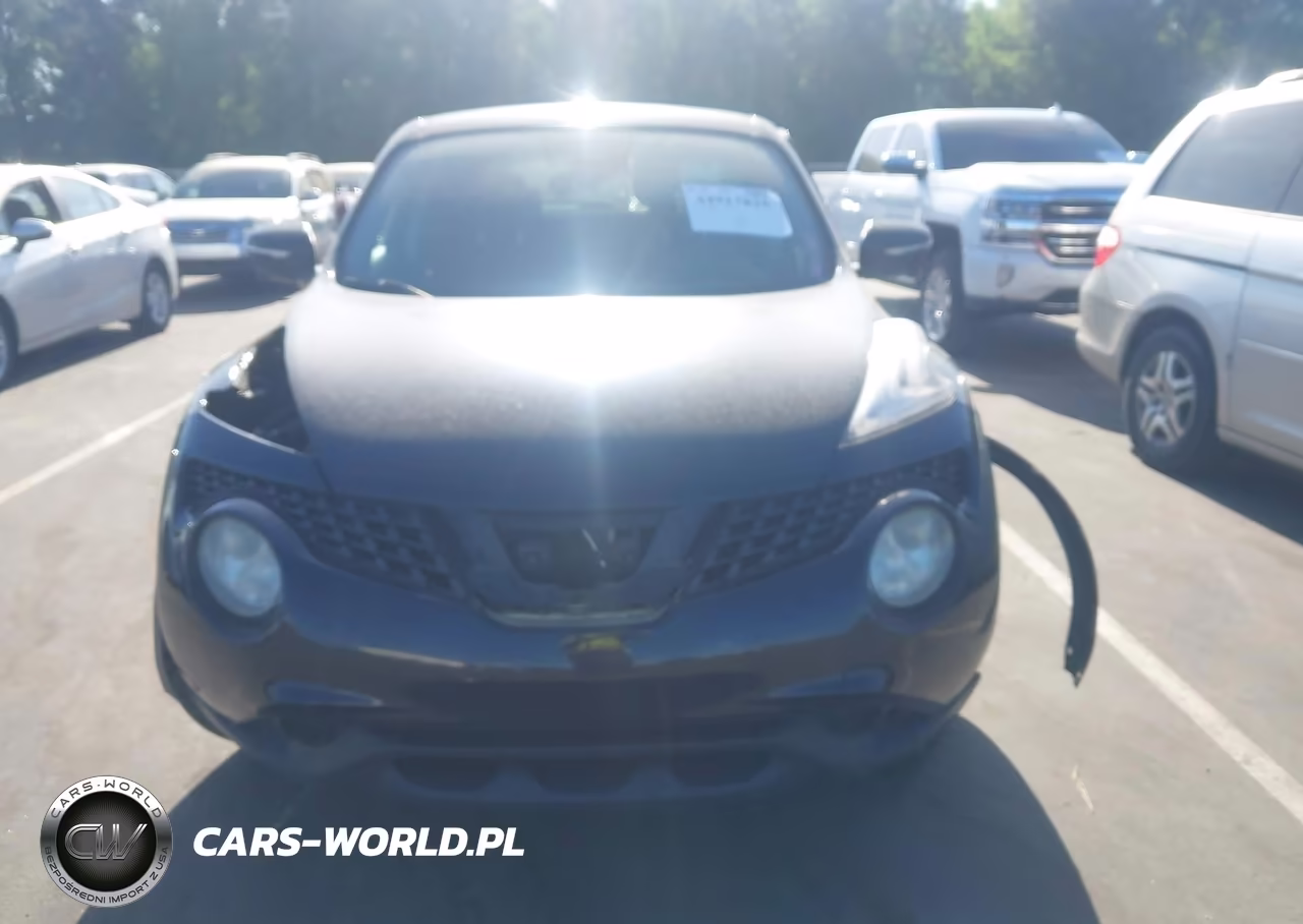 2015 Nissan Juke Sv VIN:JN8AF5MR4FT504233 - 13