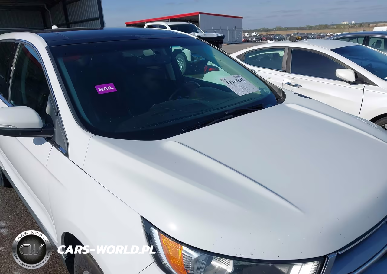 2016 Ford Edge Sel VIN:2FMPK3J97GBB04674 - 17