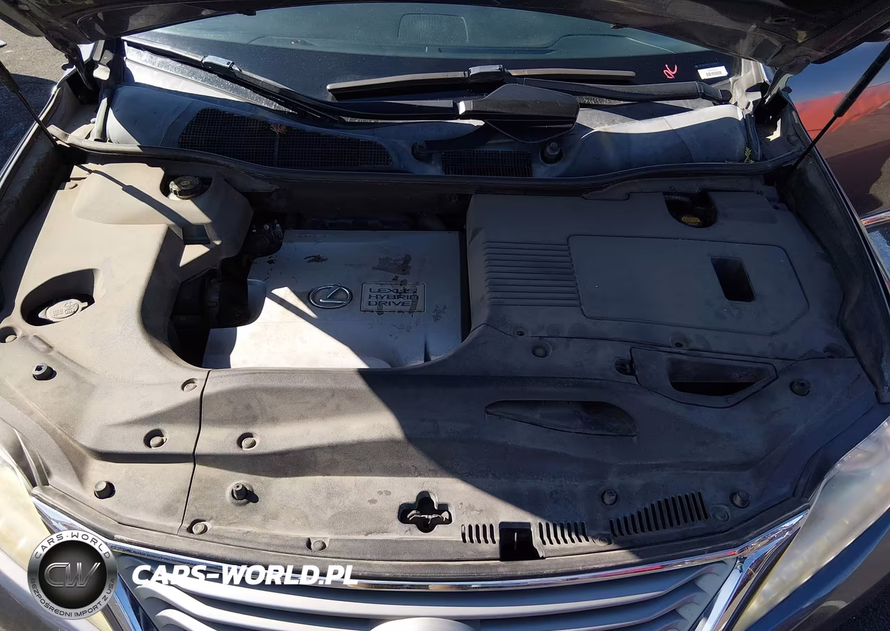 2013 Lexus Rx 450H VIN:JTJZB1BA1D2408849 - 10