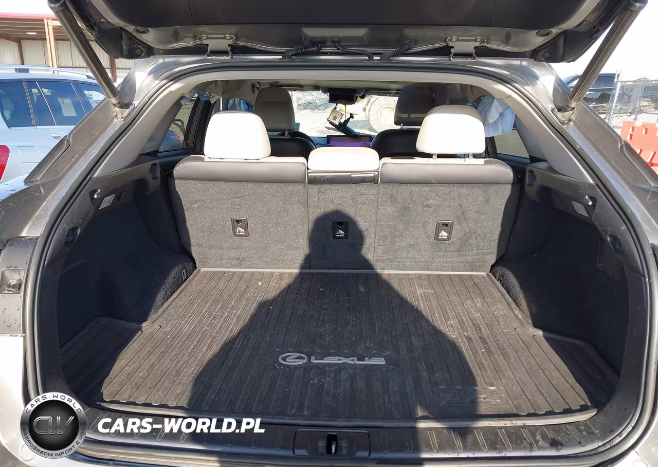 2019 Lexus Rx 350 VIN:2T2BZMCA7KC207337 - 14