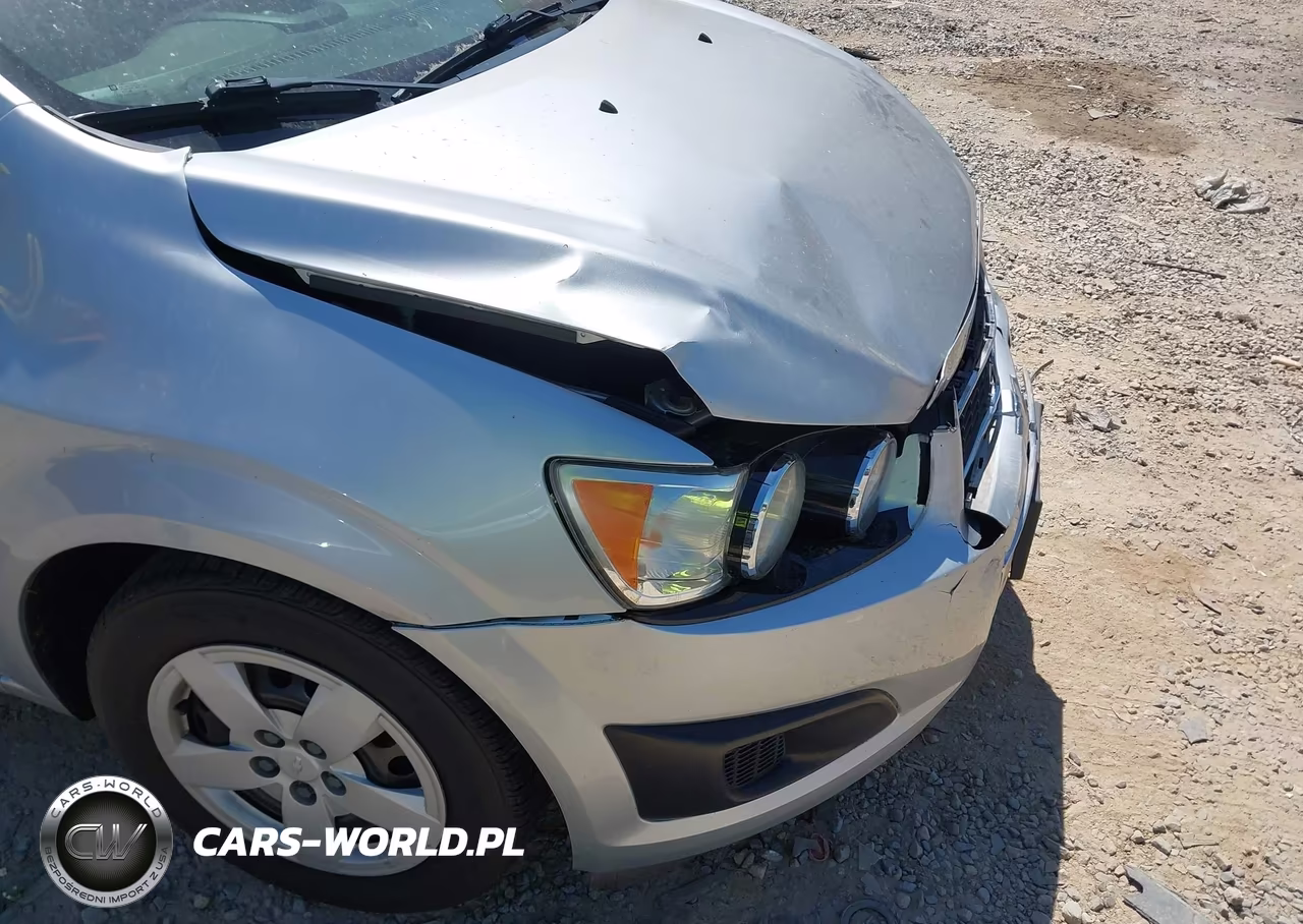 2014 Chevrolet Sonic Ls Auto VIN:1G1JA5SH8E4115276 - 12