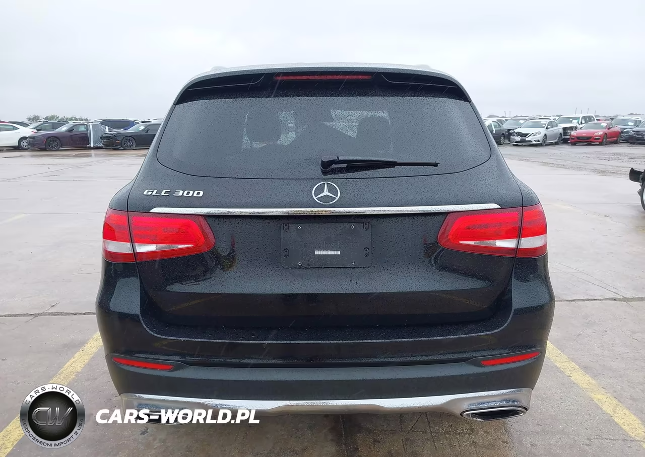 2019 Mercedes-Benz Glc 300 VIN:WDC0G4JB1KV174677 - 17